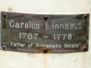 Linnaeus, Carl (id=3362)